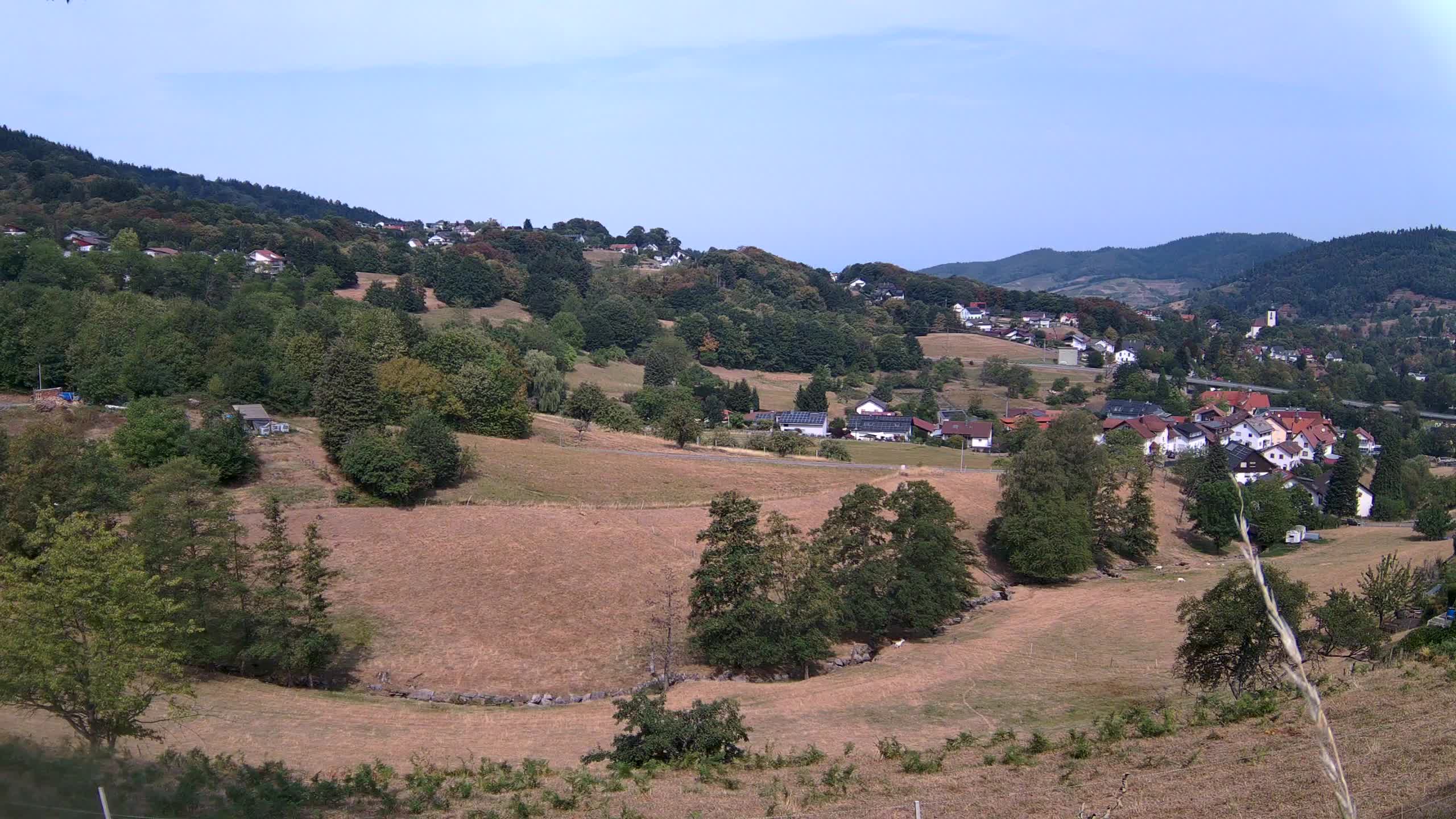 Bühlertal — So · 16.08. 12:00 Uhr